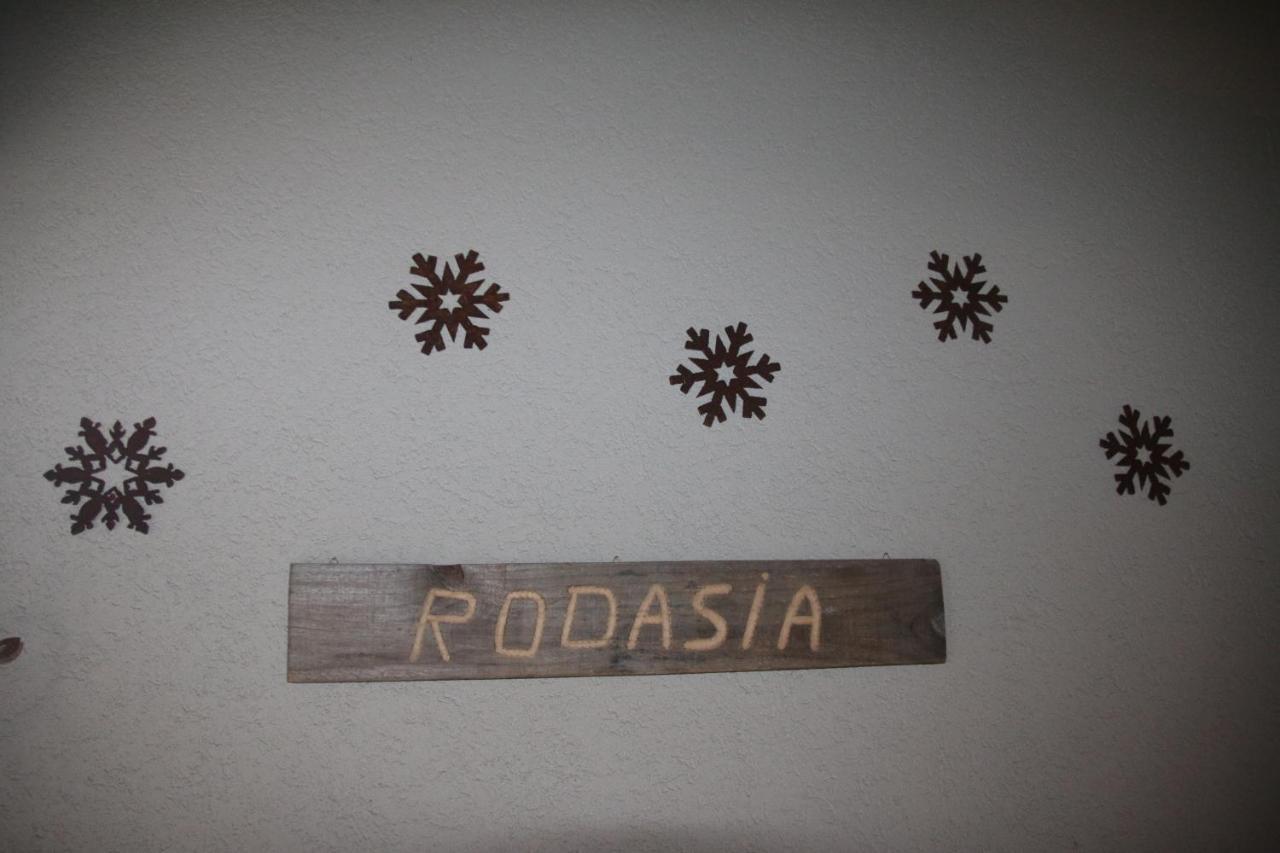 Rodasia فيربير المظهر الخارجي الصورة